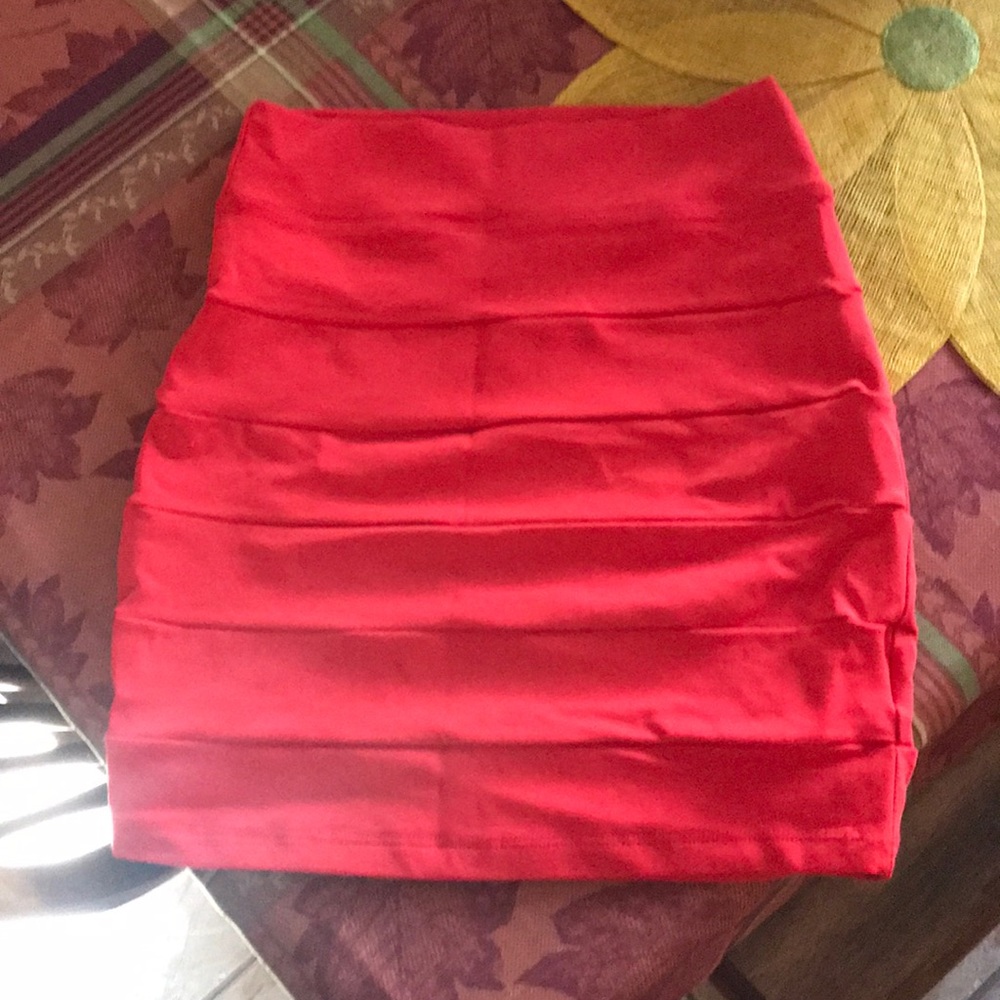 Bebe Bodycon Panel Mini Pencil Skirt